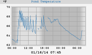 Pond Temperatures