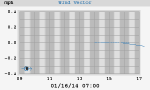 Wind Vector